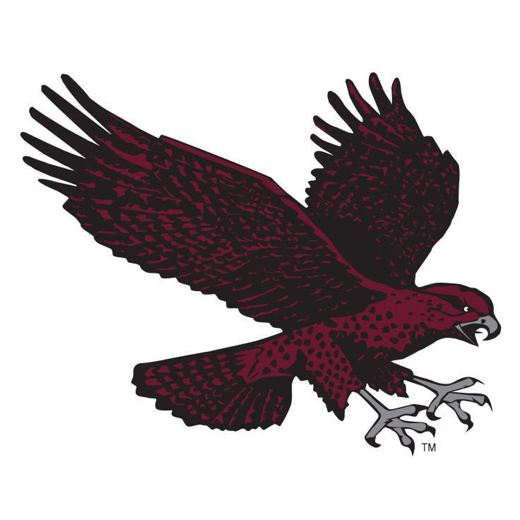 Maryland - Eastern Shore Hawks