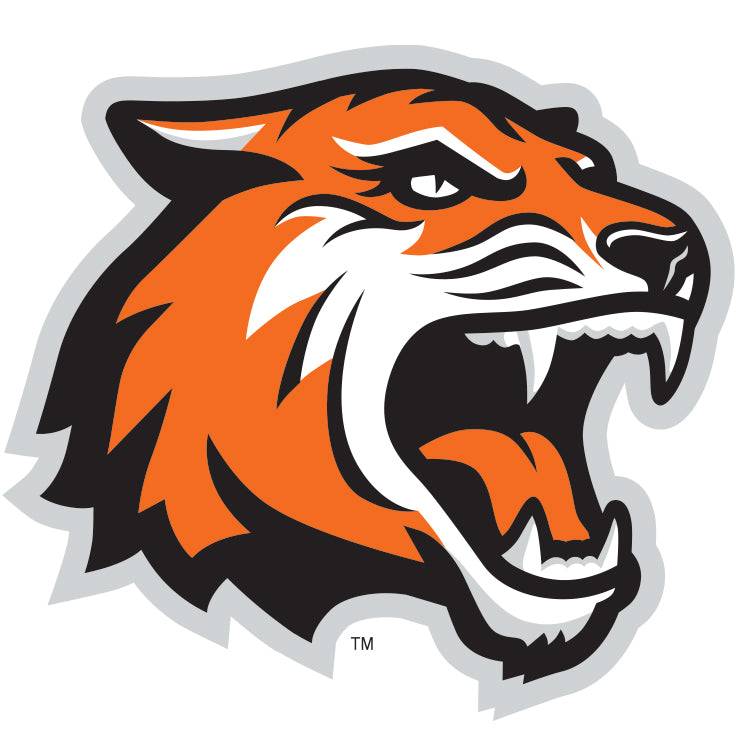 Rochester Institute of Technology Tigers
