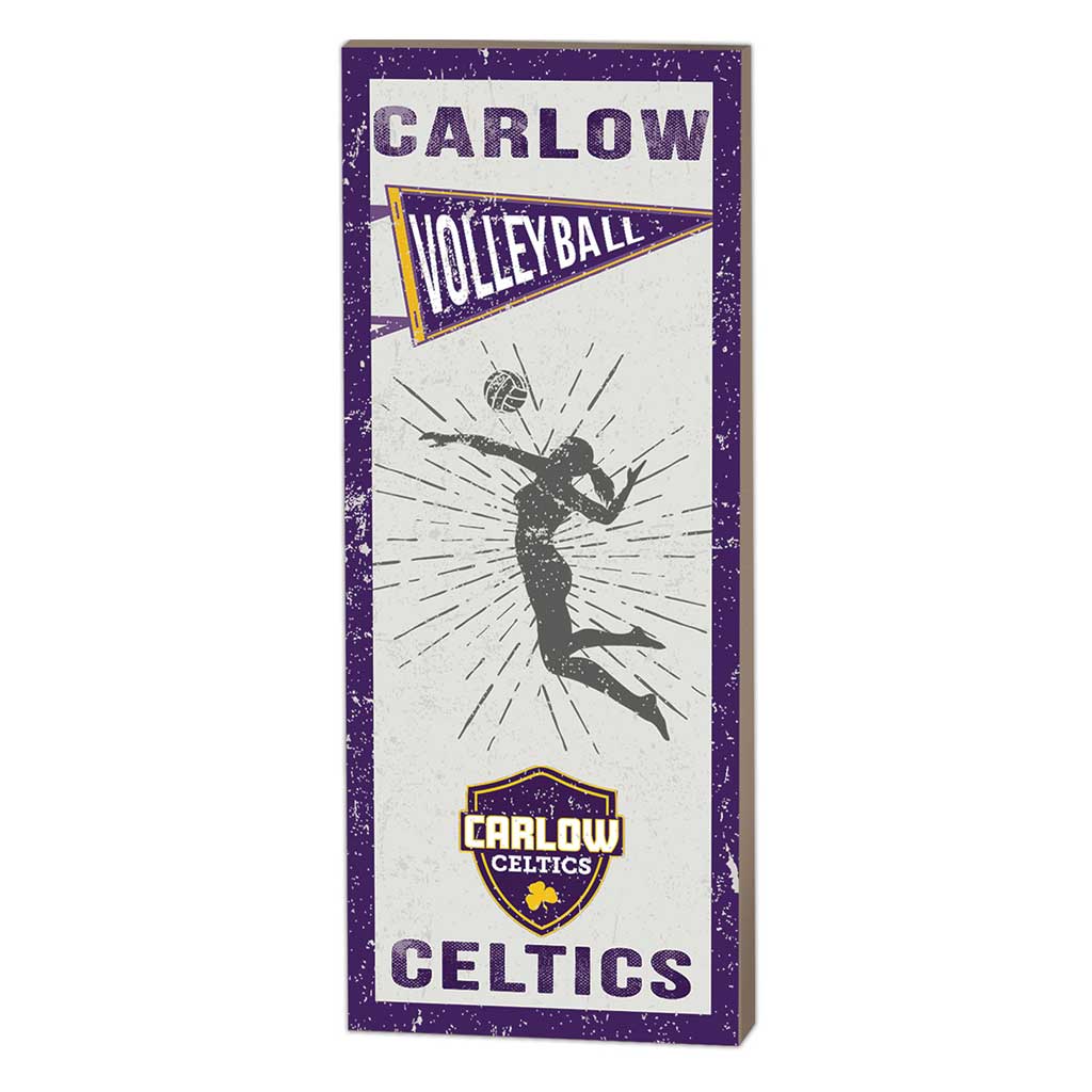 7x18 Vintage Player Carlow University Celtics - Volleyball