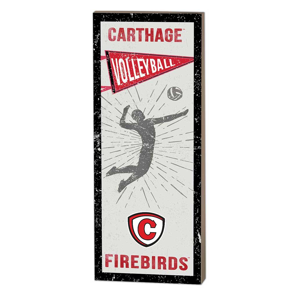 7x18 Vintage Player Carthage College Red Men/Lady Reds - Volleyball