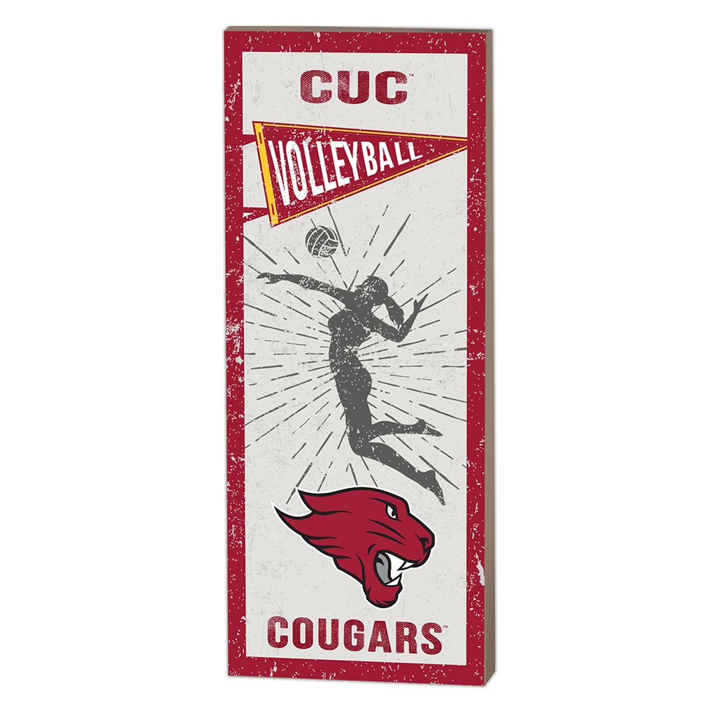 7x18 Vintage Player Concordia University - Chicago Cougars - Girl's Volleyball