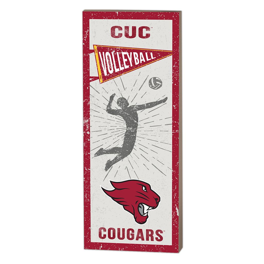 7x18 Vintage Player Concordia University - Chicago Cougars - Volleyball