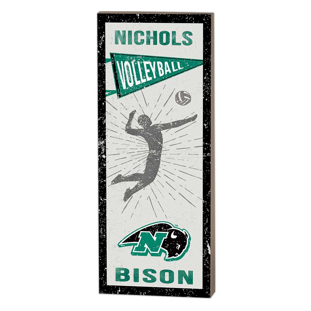 7x18 Vintage Player Nichols College Bison - Volleyball