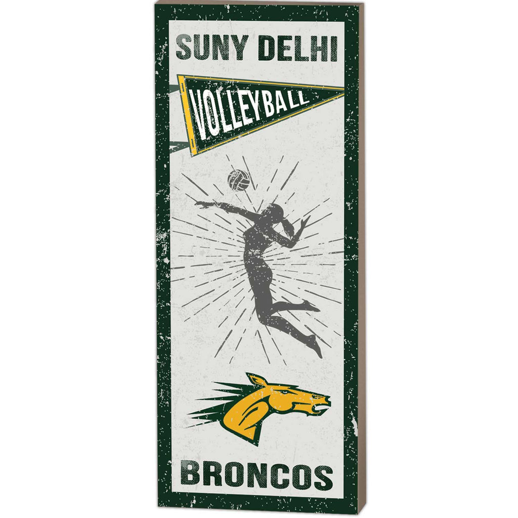 7x18 Vintage Player SUNY Delhi Broncos - Girl's Volleyball