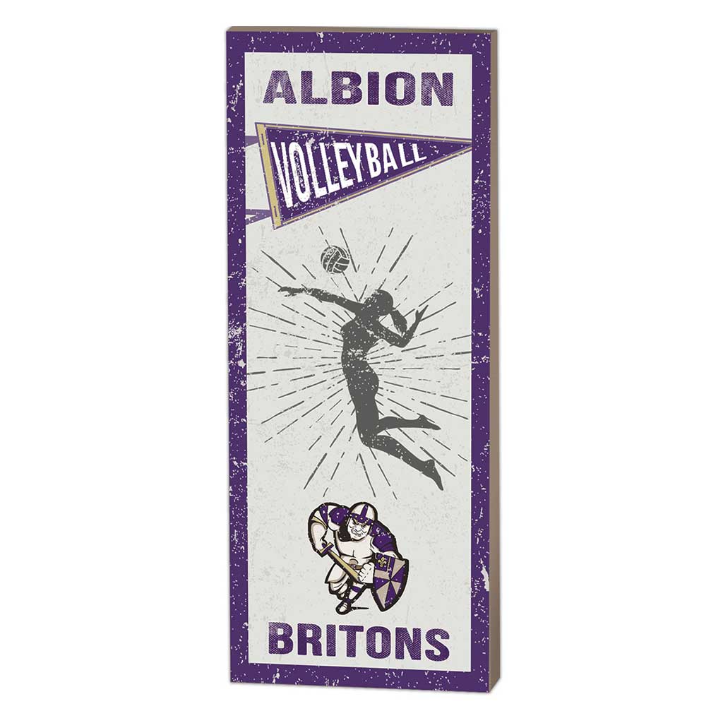 7x18 Vintage Player Albion College Britons Volleyball Women
