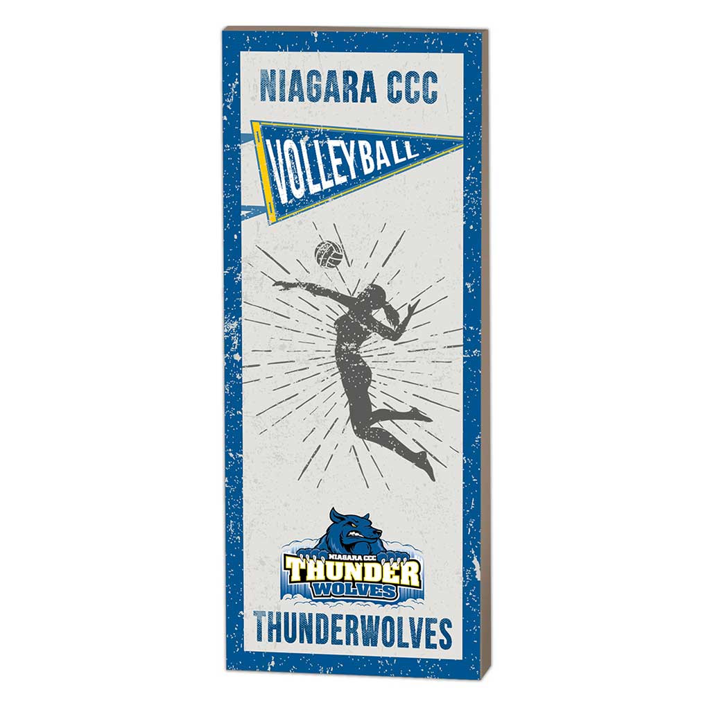 7x18 Vintage Player Niagara County Community College Thunder Wolves Volleyball Women