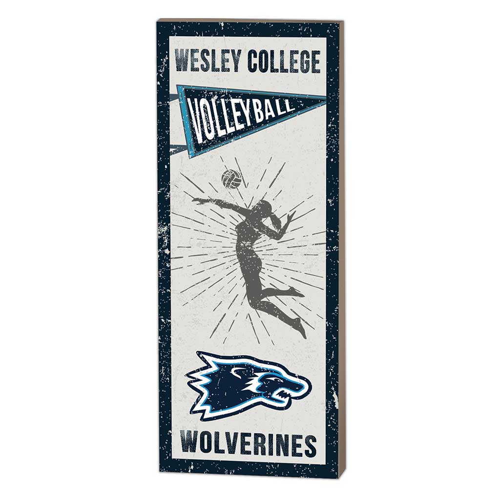 7x18 Vintage Player Wesley College Wolverines Volleyball Women