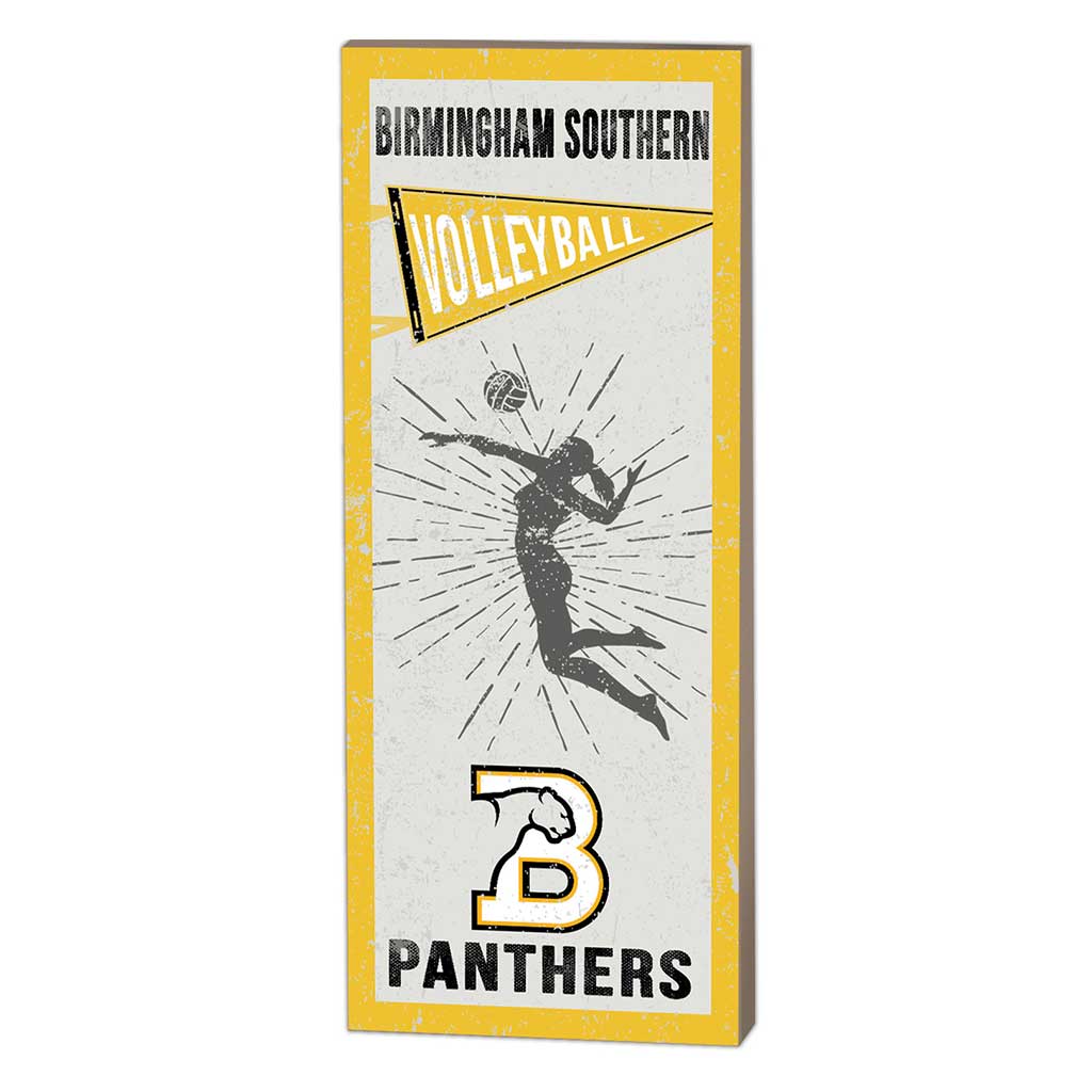 7x18 Vintage Player Birmingham Southern College Panthers Volleyball Women
