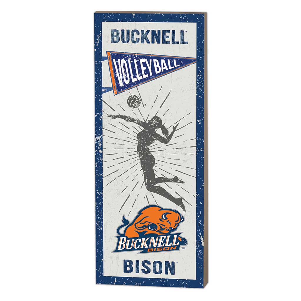 7x18 Vintage Player Bucknell Bison Volleyball Women