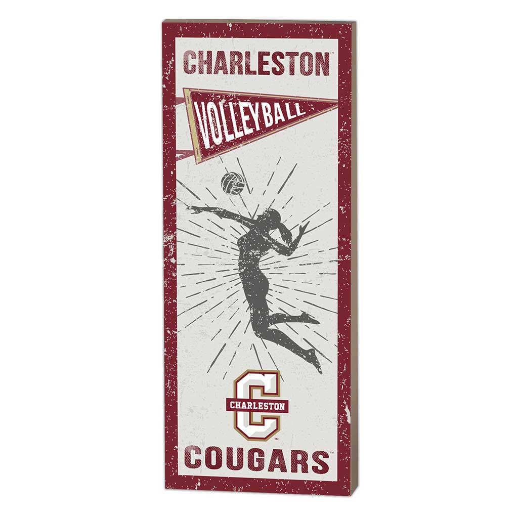 7x18 Vintage Player Charleston College Cougars Volleyball Women