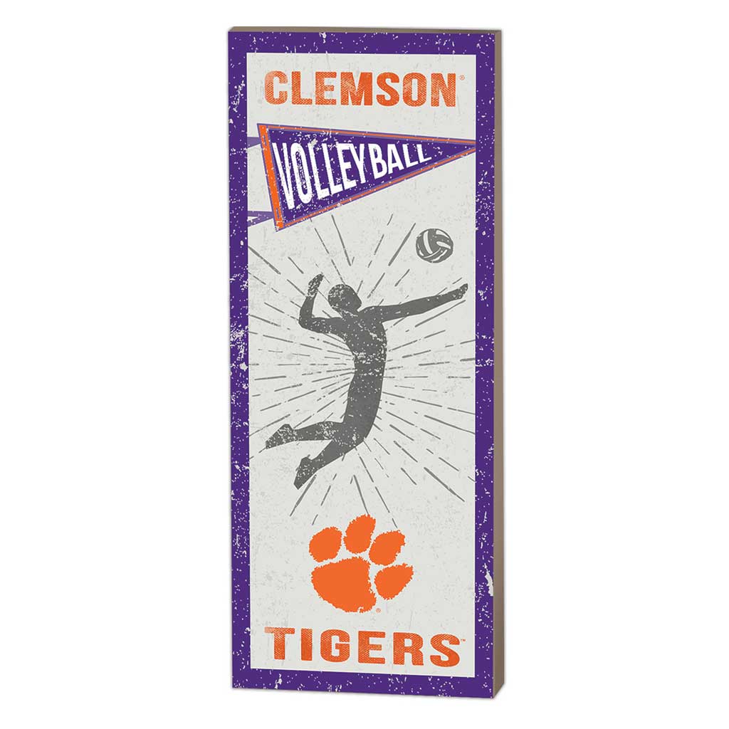 7x18 Vintage Player Clemson Tigers Volleyball