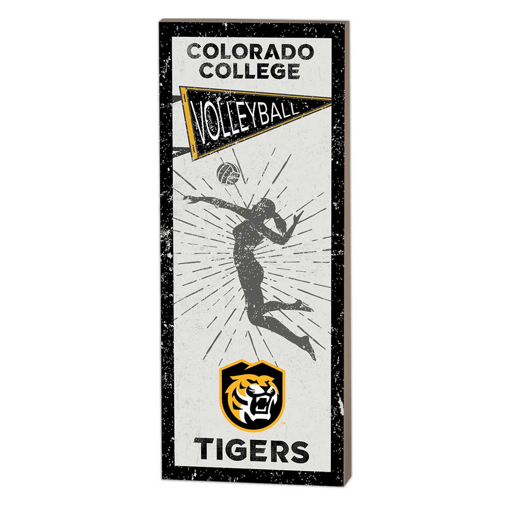 7x18 Vintage Player Colorado College Tigers Volleyball Women