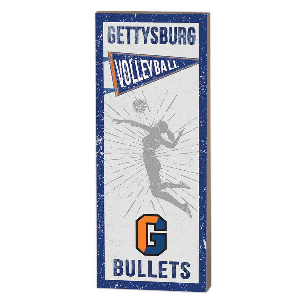 7x18 Vintage Player Gettysburg College Bullets Volleyball Women