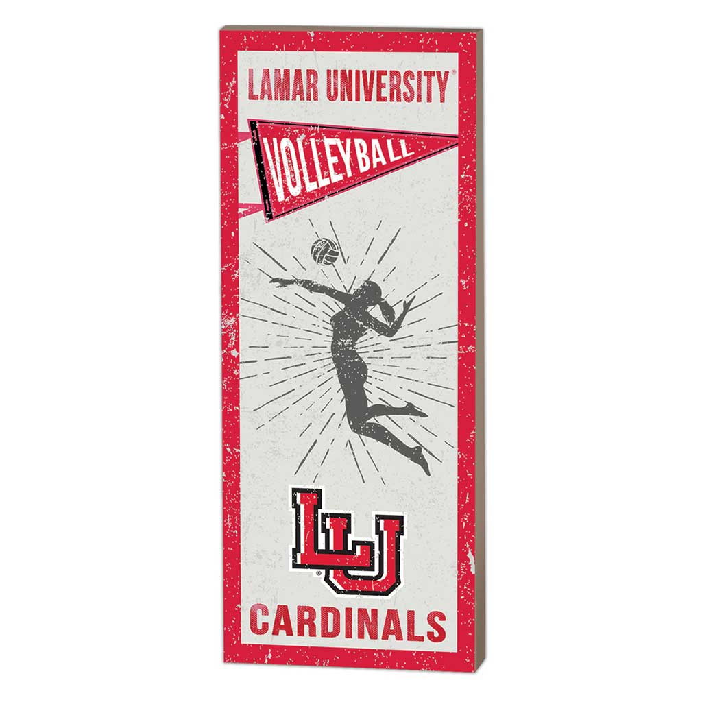 7x18 Vintage Player Lamar Cardinals Volleyball Women