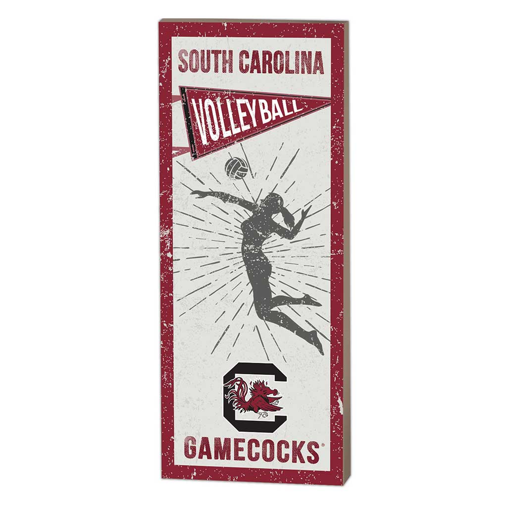 7x18 Vintage Player South Carolina Gamecocks Volleyball Women