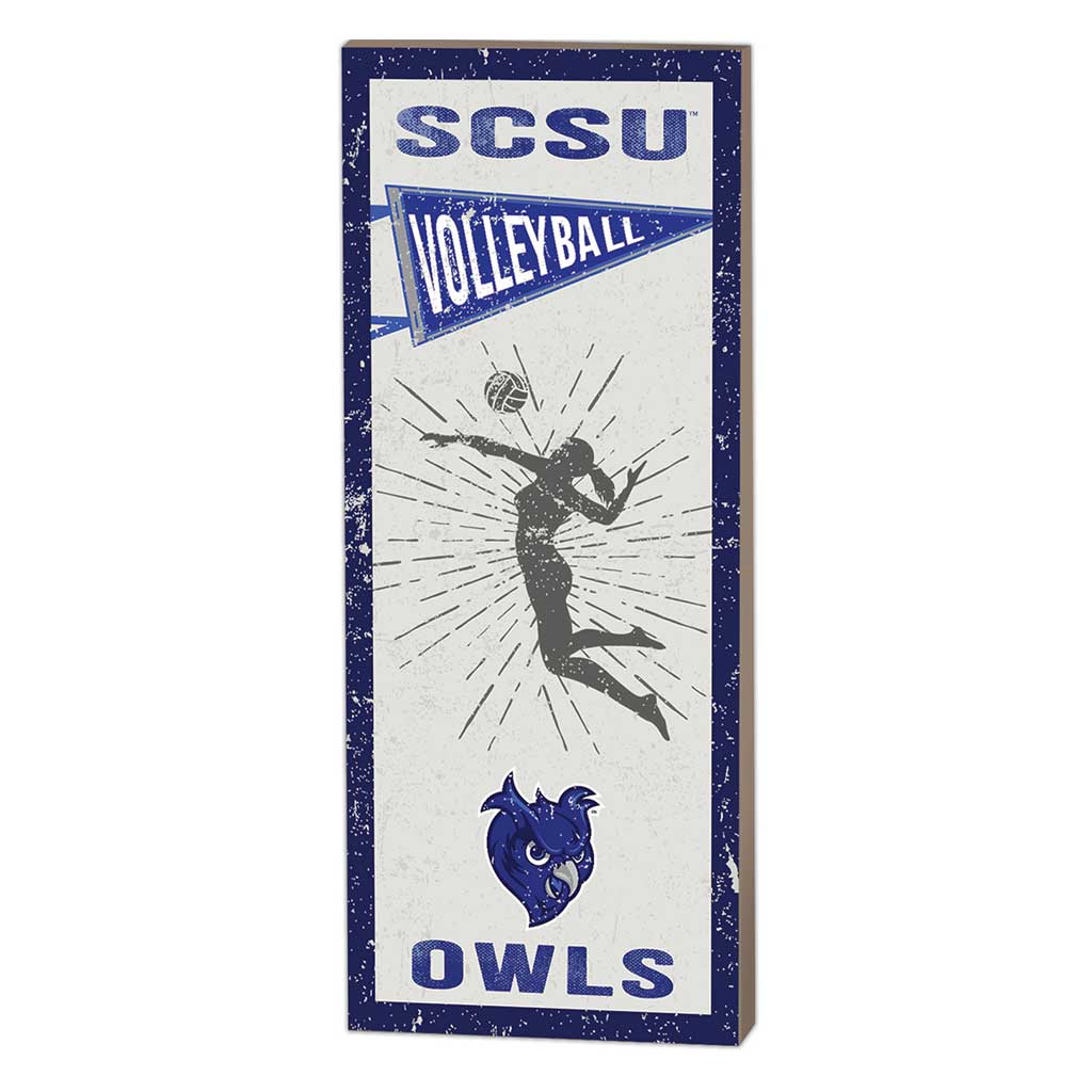7x18 Vintage Player Southern Connecticut State Owls Volleyball Women