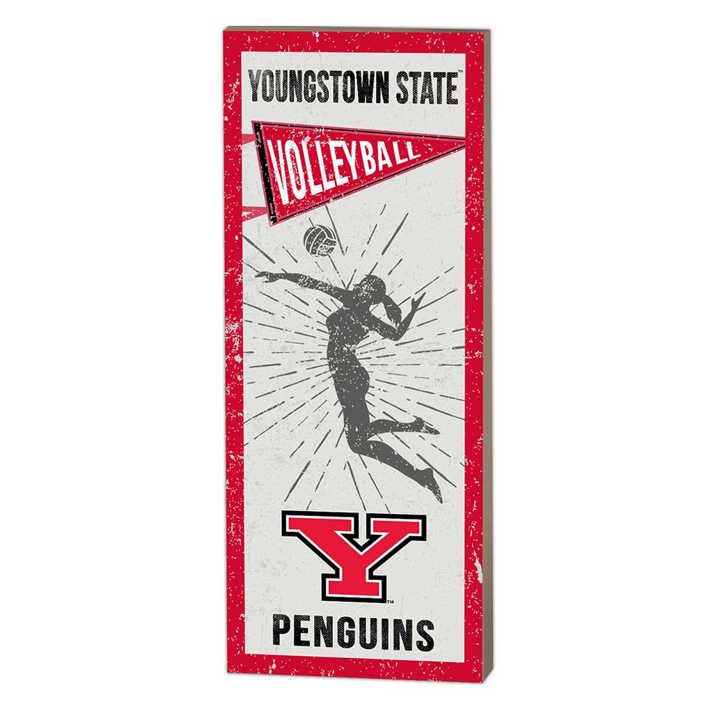 7x18 Vintage Player Youngstown State University  Volleyball Women