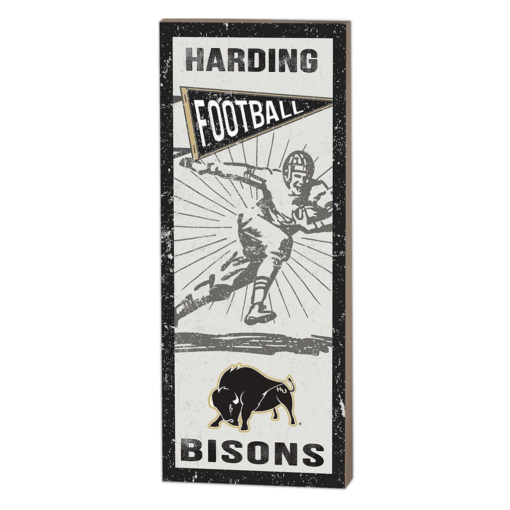 7x18 Vintage Player Harding University
