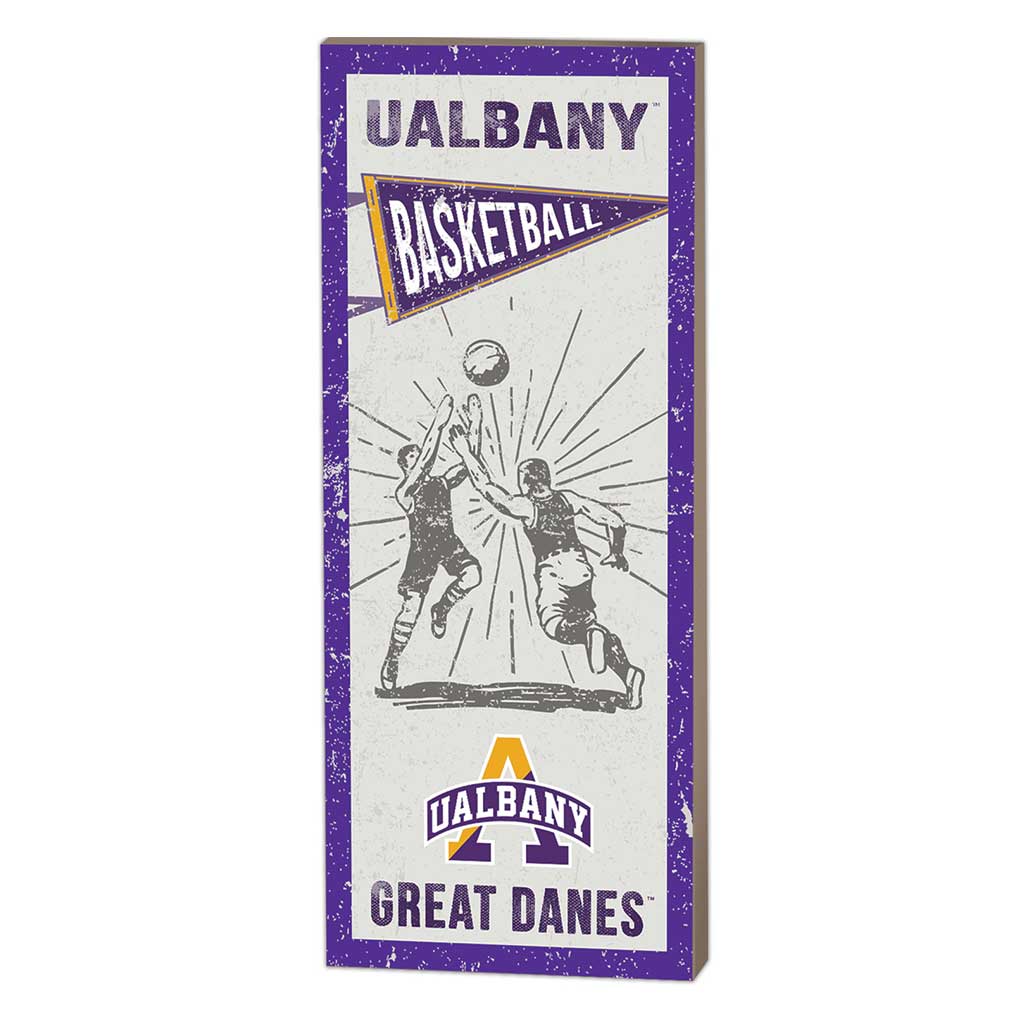 7x18 Vintage Player Albany Great Danes Basketball