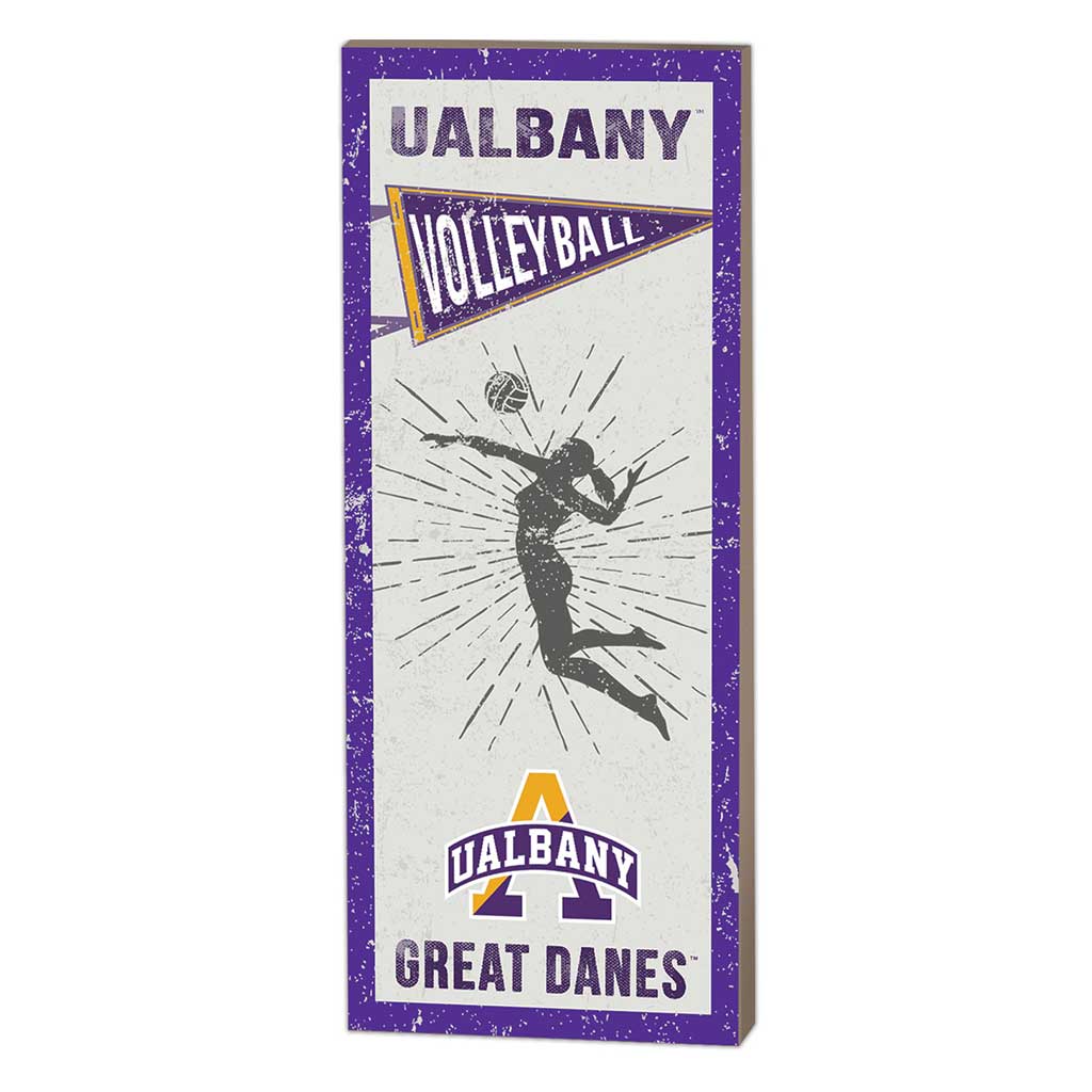 7x18 Vintage Player Albany Great Danes Volleyball Women