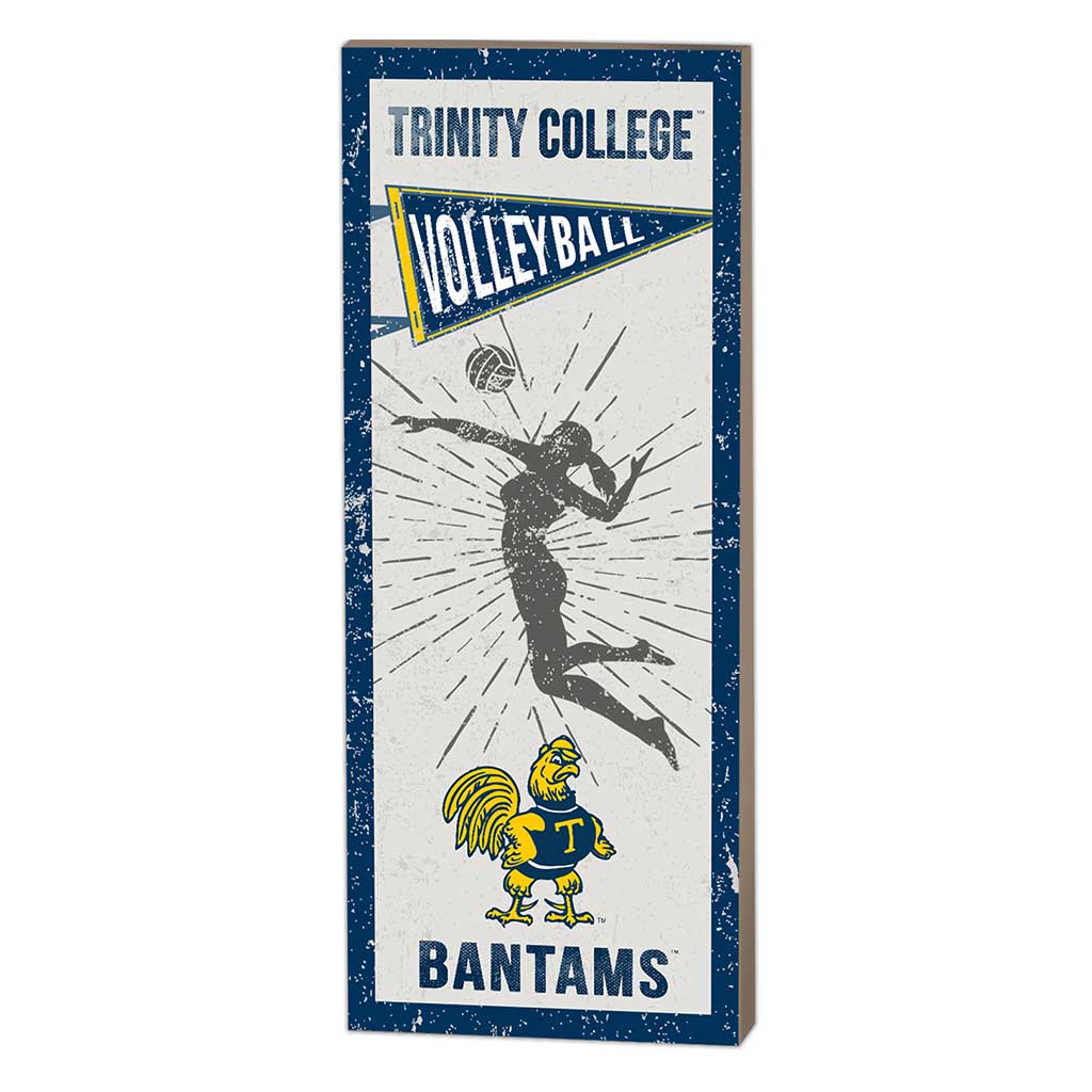 7x18 Vintage Player Trinity College Bantams - Girl's Volleyball