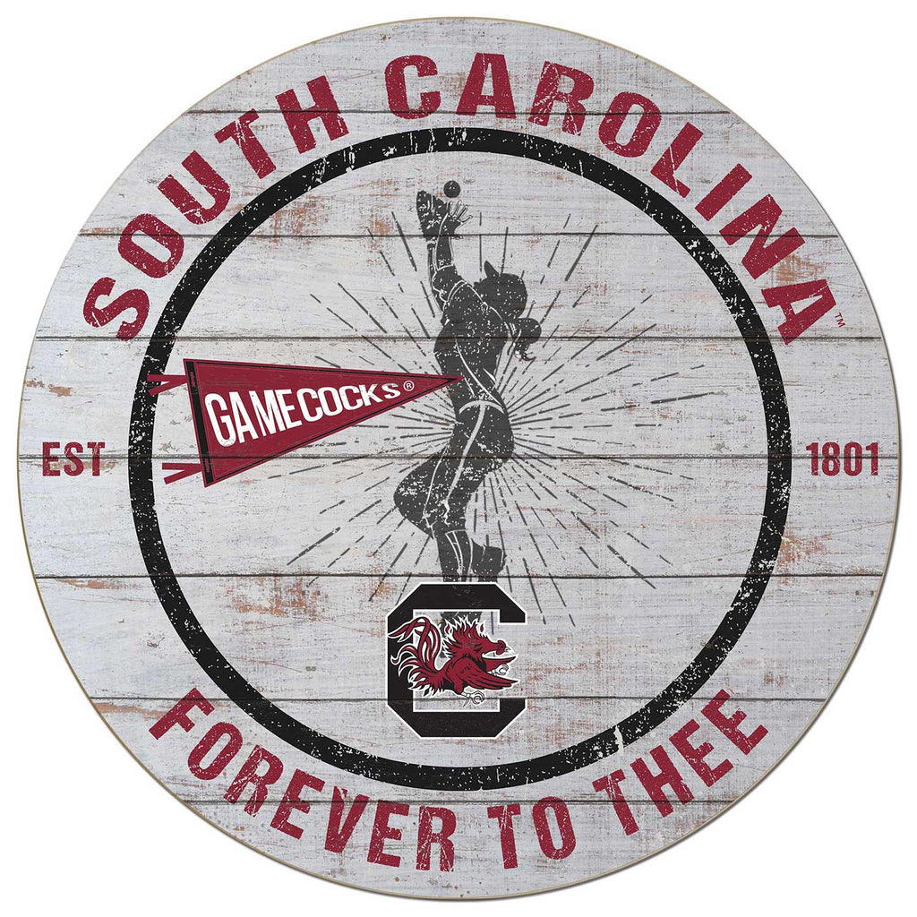 20x20 Throwback Weathered Circle South Carolina Gamecocks Softball