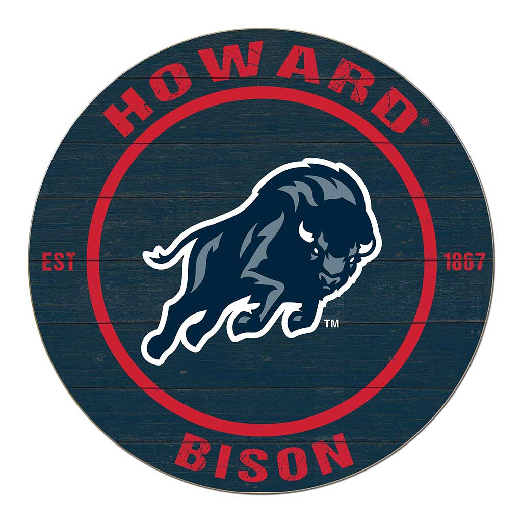 20x20 Weathered Colored Circle Howard Bison