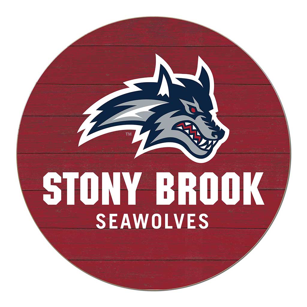 20x20 Weathered Colored Circle Stony Brook Seawolves