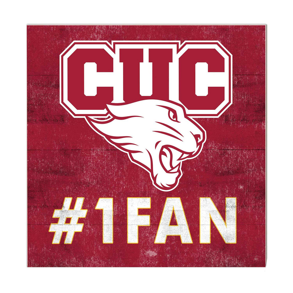 10x10 Team Color #1 Fan Concordia University - Chicago Cougars
