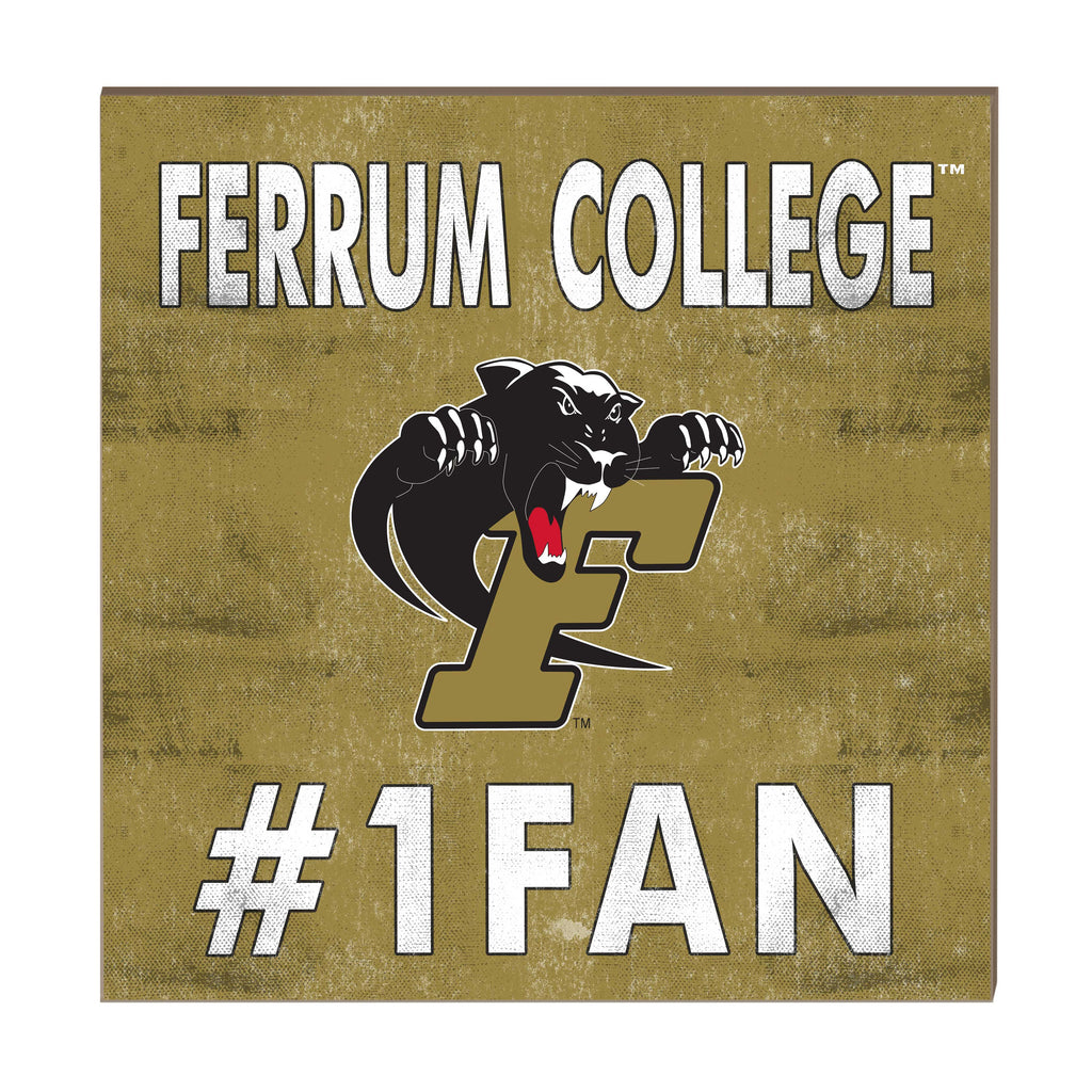 10x10 Team Color #1 Fan Furrum College Panthers