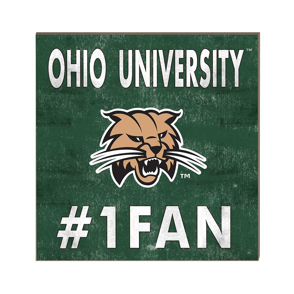 10x10 Team Color #1 Fan Ohio Univ Bobcats
