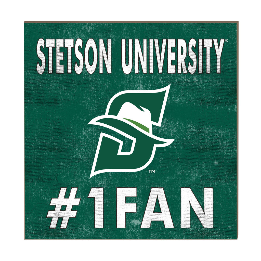 10x10 Team Color #1 Fan Stetson University Hatters