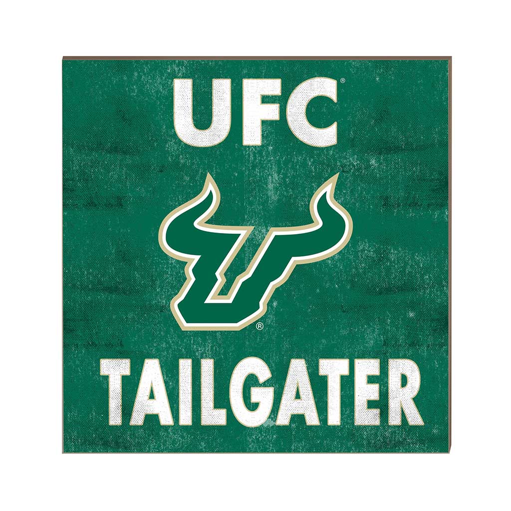 10x10 Team Color Tailgater South Florida Bulls