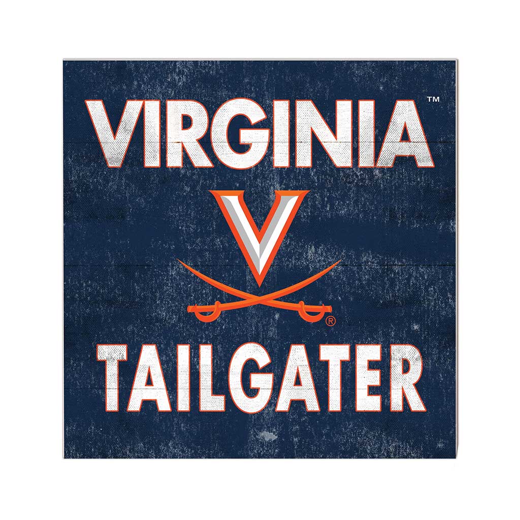10x10 Team Color Tailgater Virginia Cavaliers