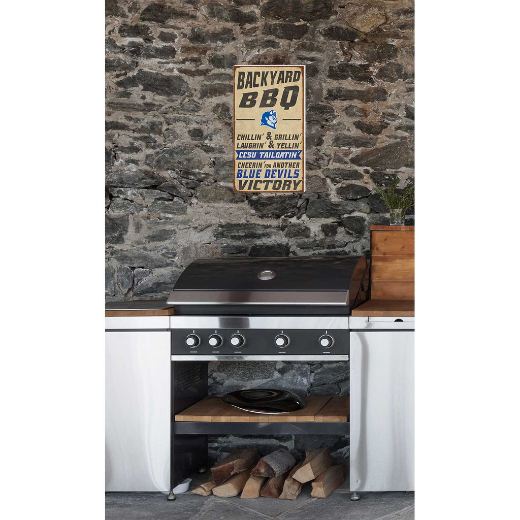 11x20 Indoor Outdoor BBQ Sign Central Connecticut State Blue Devils