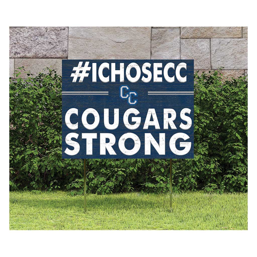 18x24 Lawn Sign I Chose Team Strong Columbia College Lions